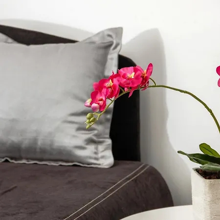 Prima Luxury 4* Spalato