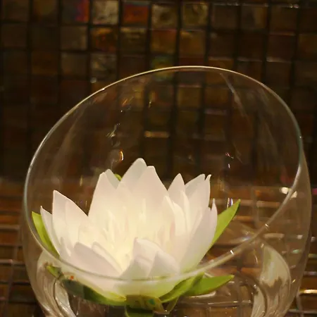 Bed & Breakfast Prima Luxury